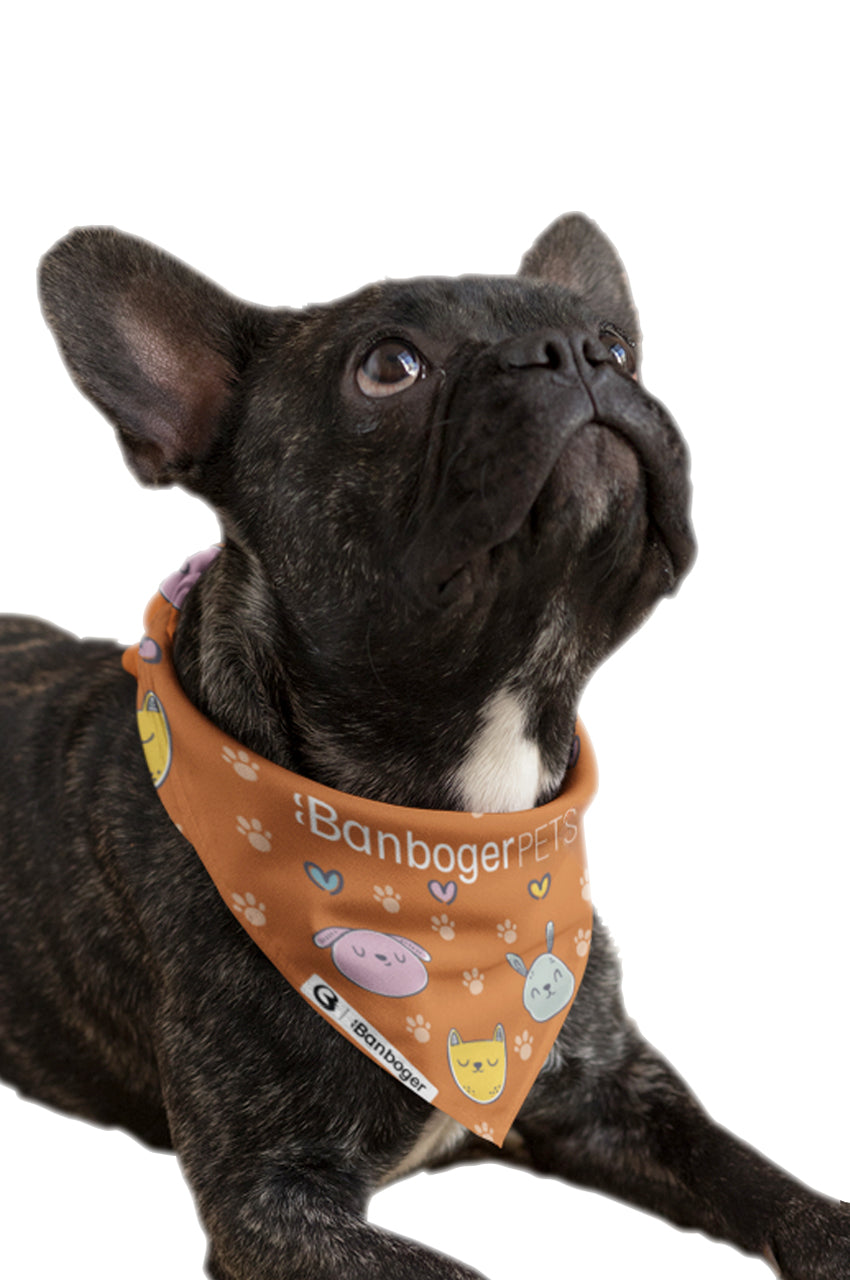 PAÑOLETA MASCOTAS BANBOGER PATRON ANIMALES